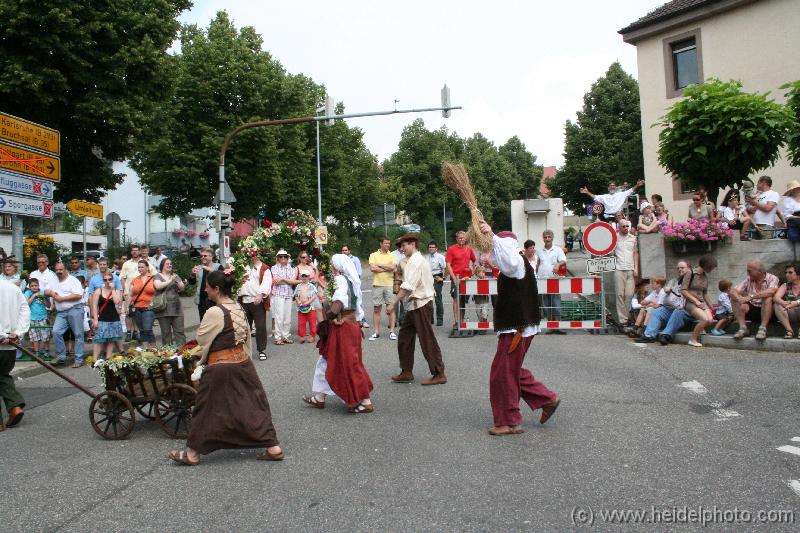IMG_6434 (2) 